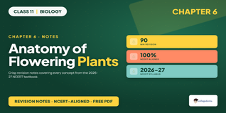 NCERT Notes Class 11 Biology Chapter 6 Anatomy of Flowering Plants