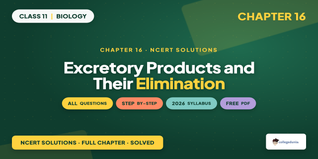 NCERT NCERT Solutions Class 11 Biology Chapter 16 Excretory Products and Their Elimination