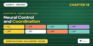 NCERT NCERT Solutions Class 11 Biology Chapter 18 Neural Control and Coordination