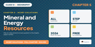 Mineral and Energy Resources Class 12 NCERT Solutions 2026-27