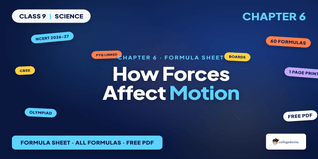 How Forces Affect Motion Class 9 Formula Sheet