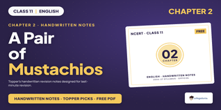 Class 11 English A Pair of Mustachios Handwritten Notes PDF