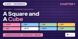 A Square and A Cube Class 8 Mathematics Handwritten Notes