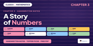A Story of Numbers Class 8 Mathematics Handwritten Notes