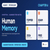 Human Memory Class 11 Psychology Handwritten Notes