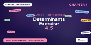 Class 12th Determinants NCERT Solutions Chapter 4 Ex 4.5