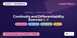 Continuity and Differentiability Class 12 NCERT Solutions Chapter 5 Ex 5.4