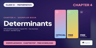 NCERT Exemplar Class 12 Maths Determinants - Class 12 Maths Ch 4