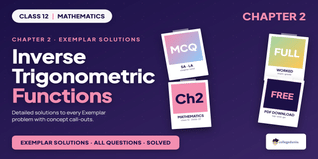 NCERT Exemplar Class 12 Maths Solutions Relations and Function...