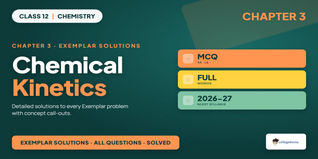 Class 12 Chemistry Ch 3 Chemical Kinetics Exemplar - Download PDF