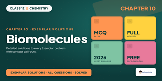 NCERT Exemplar Solutions Class 12 Chemistry Ch 10 - Download PDF