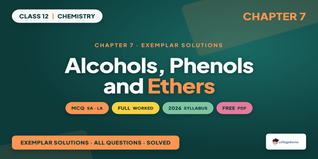 NCERT Exemplar Solutions Class 12 Chemistry Ch 7 - Download PDF