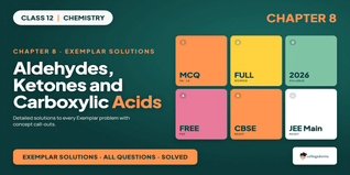 NCERT Exemplar Solutions Class 12 Chemistry Ch 8 - Download PDF