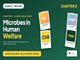 public/image/25-00:43-ncertsolutionsclass12biologychapter8microbesinhumanwelfare.png