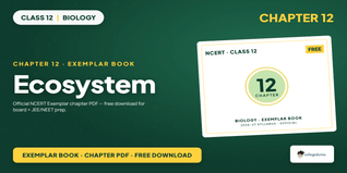 NCERT Exemplar Class 12 Biology Ch 12 Ecosystem Book PDF