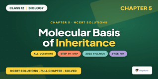 Molecular Basis of Inheritance NCERT Solutions Class 12 PDF