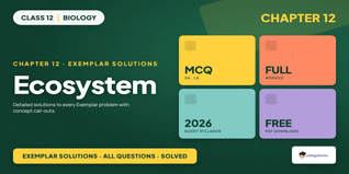 NCERT Exemplar Class 12 Biology Ch 12 Ecosystem Solutions PDF