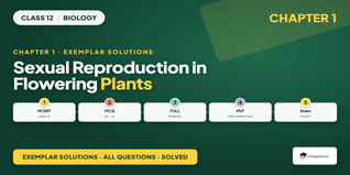 NCERT Exemplar Class 12 Biology Ch 1 Sexual Reproduction - PDF