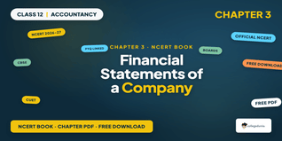 NCERT Class 12 Accountancy P2 Chapter 3 Financial Statements of a Company Book PDF