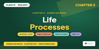 NCERT Exemplar Class 10 Science Chapter 5 PDF Download