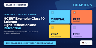 NCERT Exemplar Class 10 Science Chapter 9 PDF Download