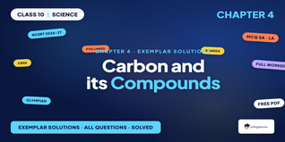 NCERT Exemplar Solutions Class 10 Science Chapter 4