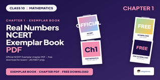 NCERT Exemplar Class 10 Maths Real Numbers Book PDF