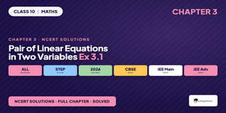 Pair of Linear Equations Class 10 Exercise 3.1 Solutions