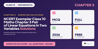 NCERT Exemplar Solutions Class 10 Maths Chapter 3