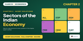 Sectors of Indian Economy Class 10 Economics NCERT Solutions