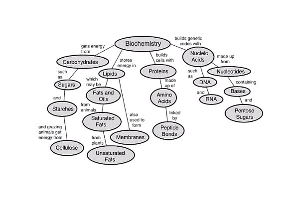 What is Biochemistry? 