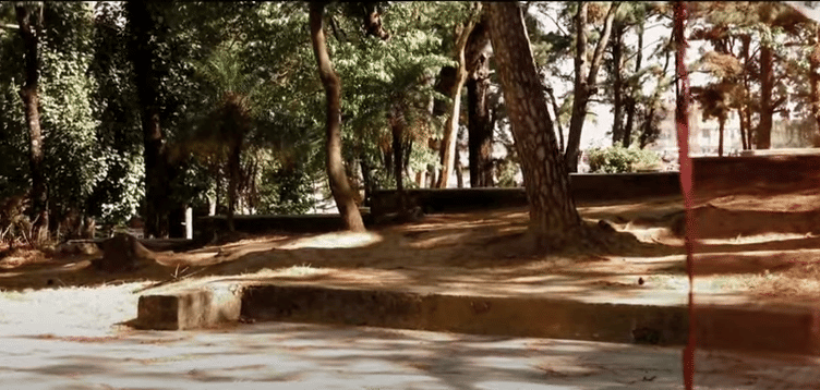 Basketball court of NLU Meg