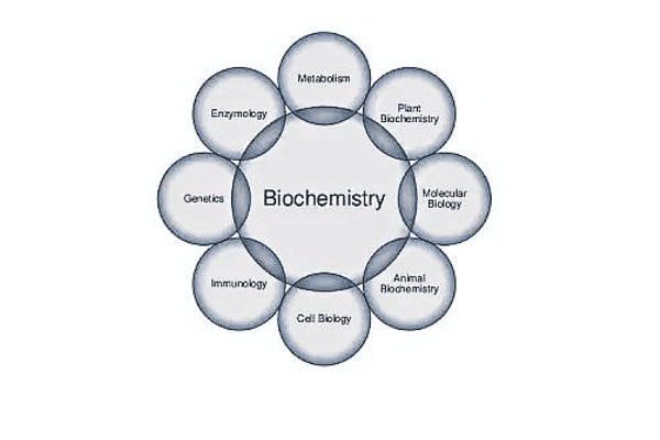 Biochemistry Scope in Academics and Research