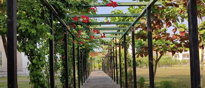 Garden area of NID Bhopal