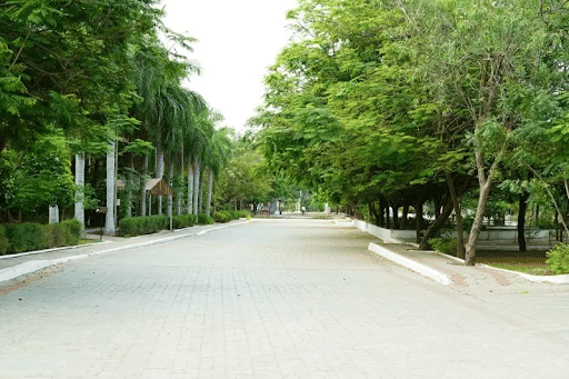 RIT Chennai