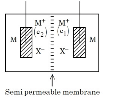 JEE Main 23rd Jan Shift 2 Question paper (Available)- Download PDF with ...