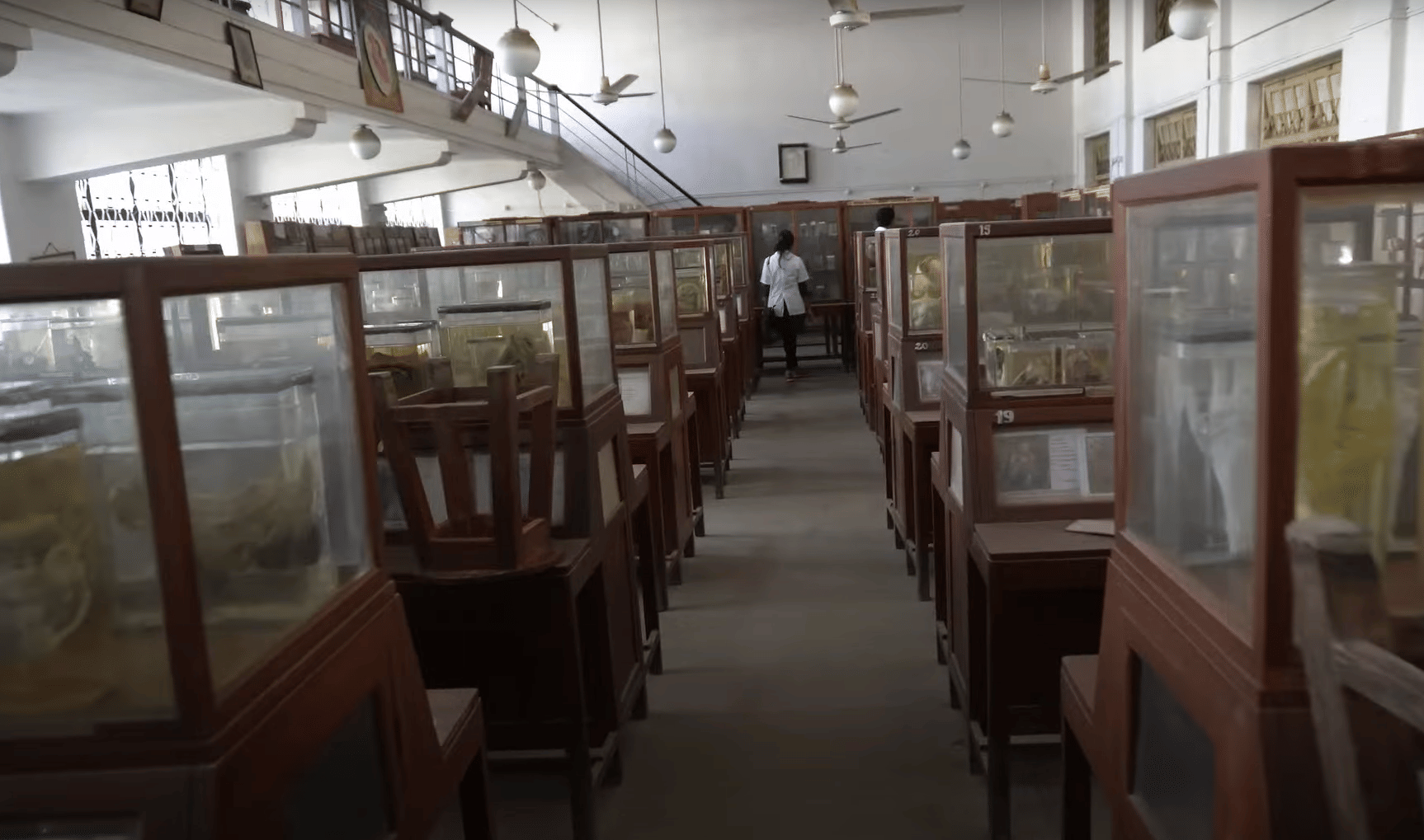 Anatomy Museum at GMC Nagpur