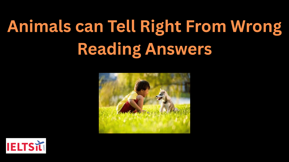 Animals can Tell Right From Wrong Reading Answers