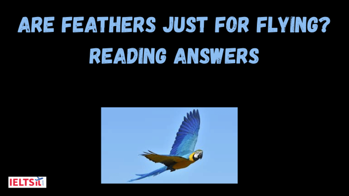 Are Feathers Just for Flying? Reading Answers