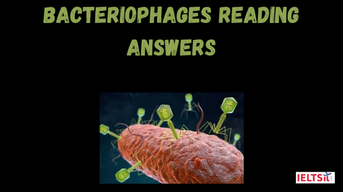 Bacteriophages Reading Answers
