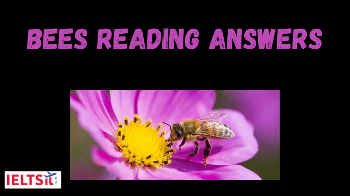 Bees Reading Answers