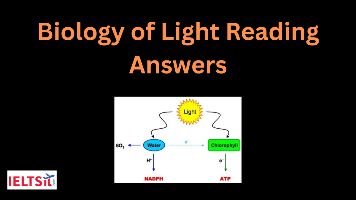 Biology of Light Reading Answers