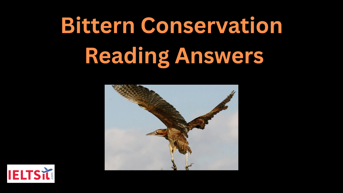 Bittern Conservation Reading Answers
