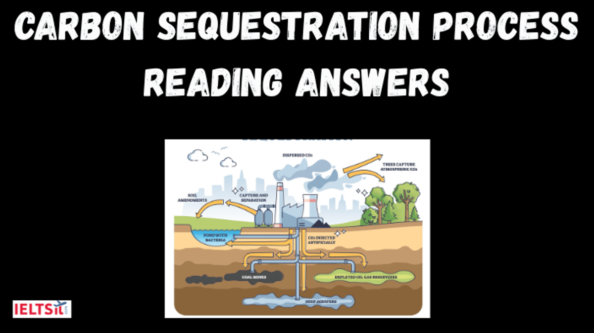 Carbon Sequestration Process Reading Answers