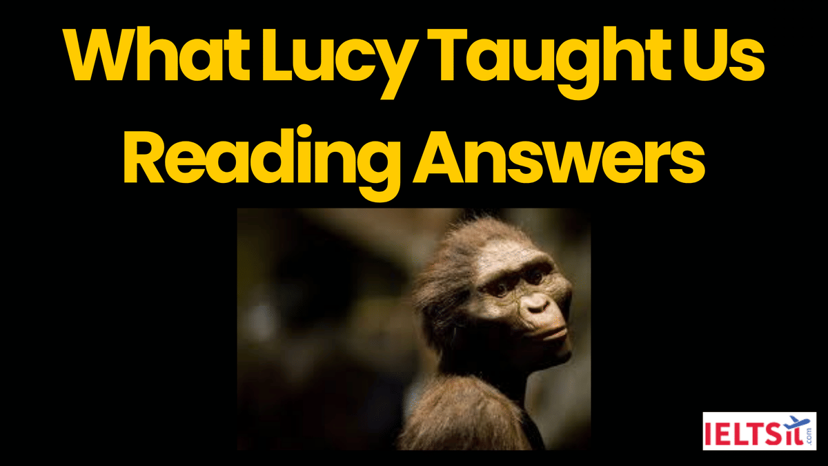What Lucy Taught Us Reading Answers