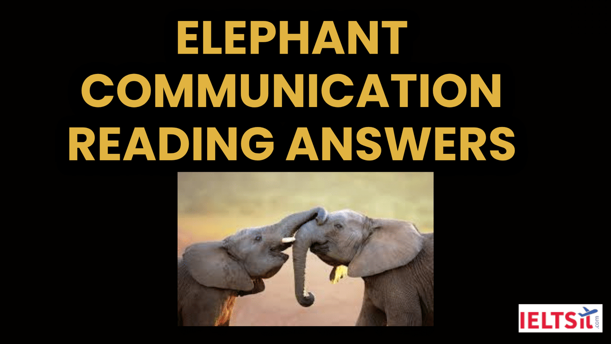 Elephant Communication Reading Answers