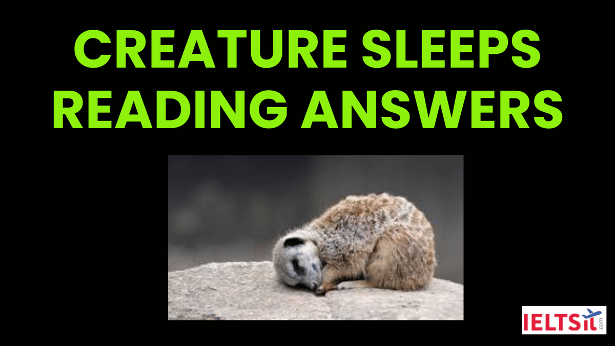 Creature Sleeps Reading Answers