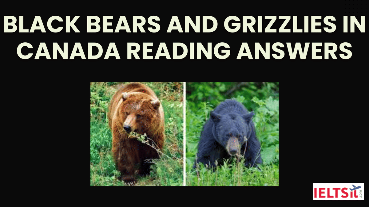 Black Bears and Grizzlies in Canada Reading Answers