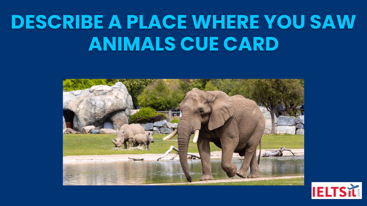 Describe a place where you saw animals Cue Card