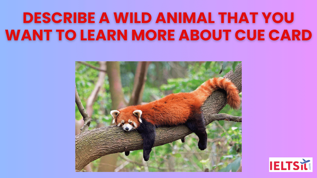 Describe a wild animal that you want to learn more about Cue Card